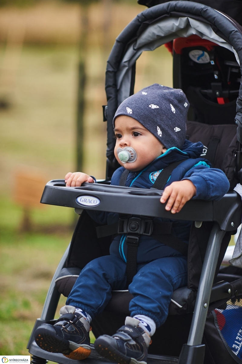 Faültetés az Újéletfa-ligetben 2017 - fotó Szarka Lajos