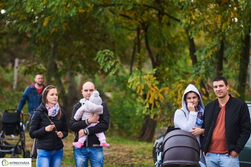 Faültetés az Újéletfa-ligetben 2017 - fotó Szarka Lajos