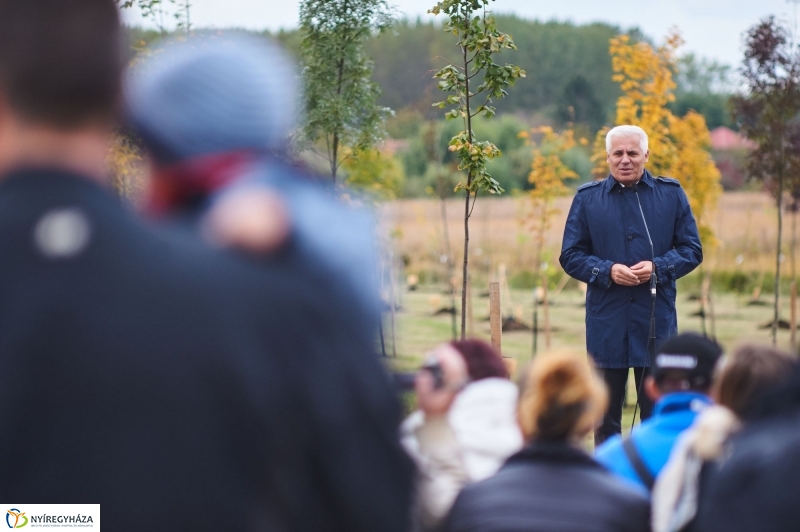 Faültetés az Újéletfa-ligetben 2017 - fotó Szarka Lajos