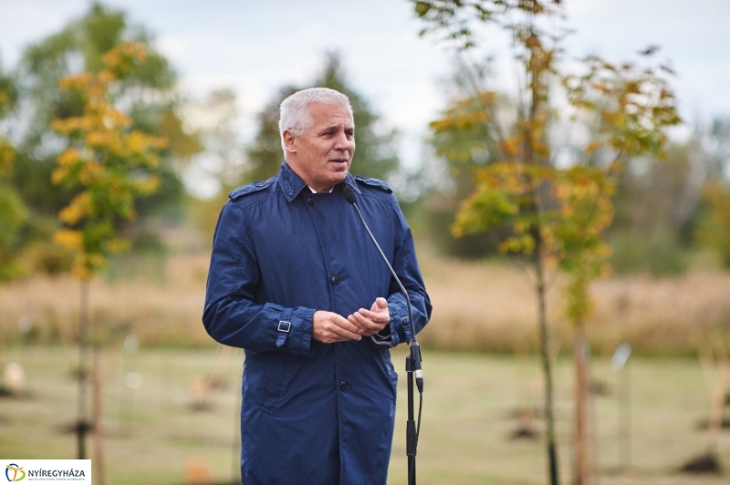 Faültetés az Újéletfa-ligetben 2017 - fotó Szarka Lajos