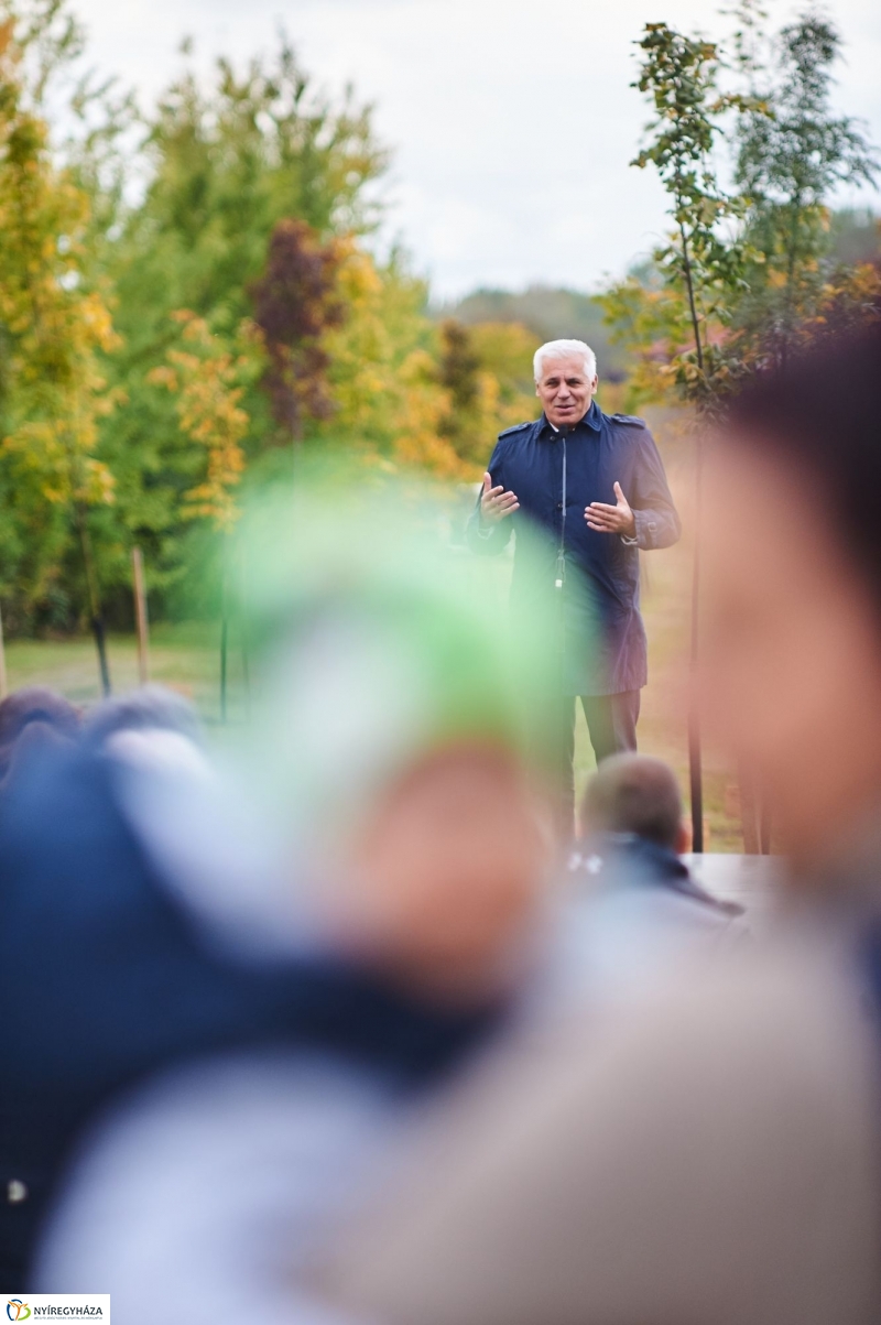 Faültetés az Újéletfa-ligetben 2017 - fotó Szarka Lajos