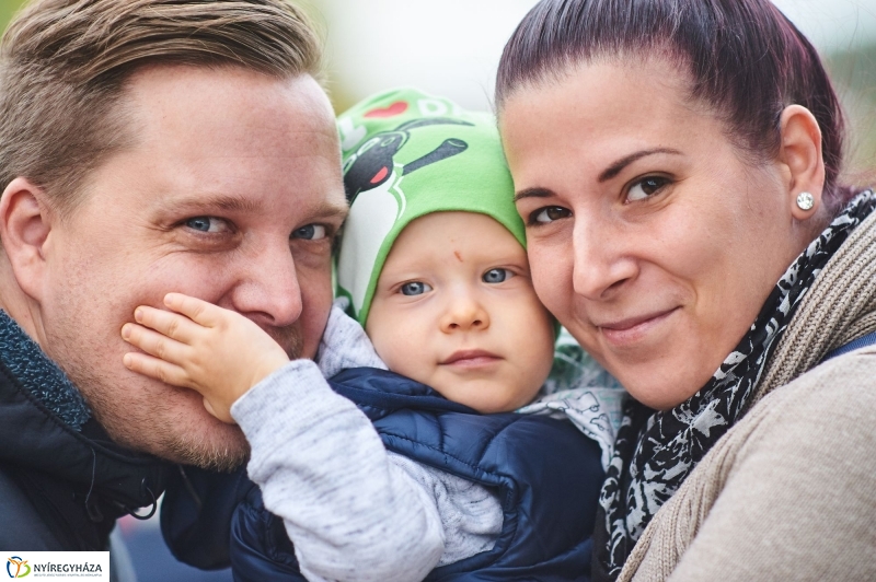 Faültetés az Újéletfa-ligetben 2017 - fotó Szarka Lajos