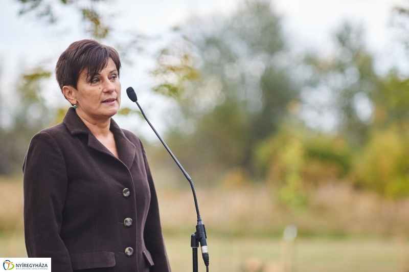 Faültetés az Újéletfa-ligetben 2017 - fotó Szarka Lajos