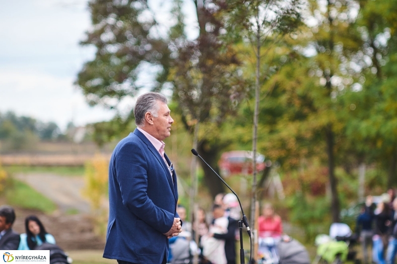 Faültetés az Újéletfa-ligetben 2017 - fotó Szarka Lajos