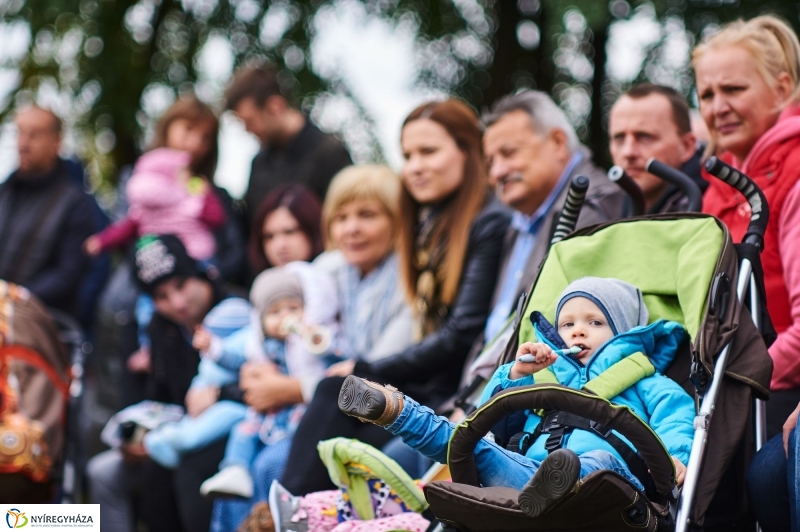 Faültetés az Újéletfa-ligetben 2017 - fotó Szarka Lajos