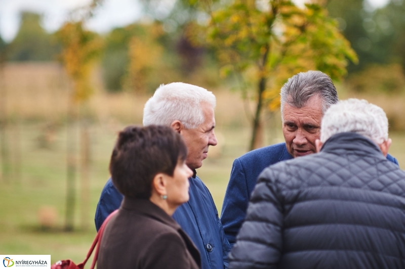 Faültetés az Újéletfa-ligetben 2017 - fotó Szarka Lajos