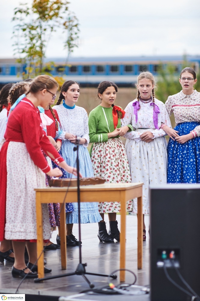 Faültetés az Újéletfa-ligetben 2017 - fotó Szarka Lajos