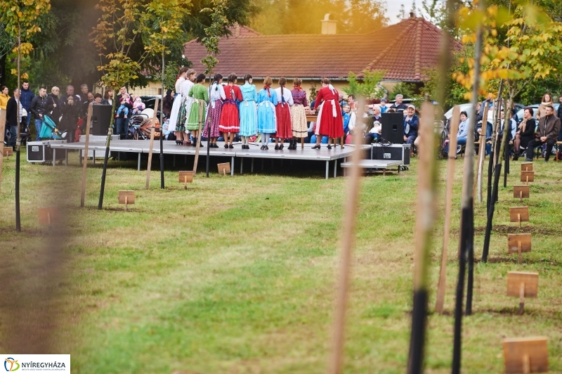 Faültetés az Újéletfa-ligetben 2017 - fotó Szarka Lajos