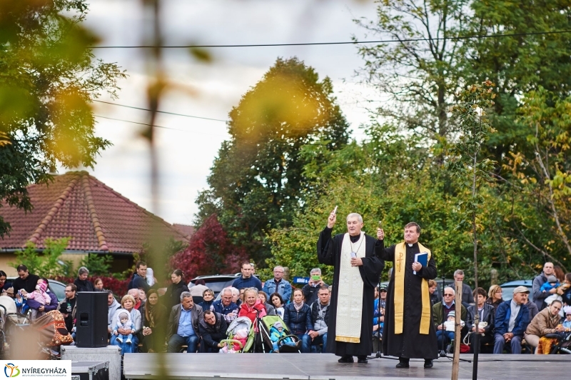 Faültetés az Újéletfa-ligetben 2017 - fotó Szarka Lajos
