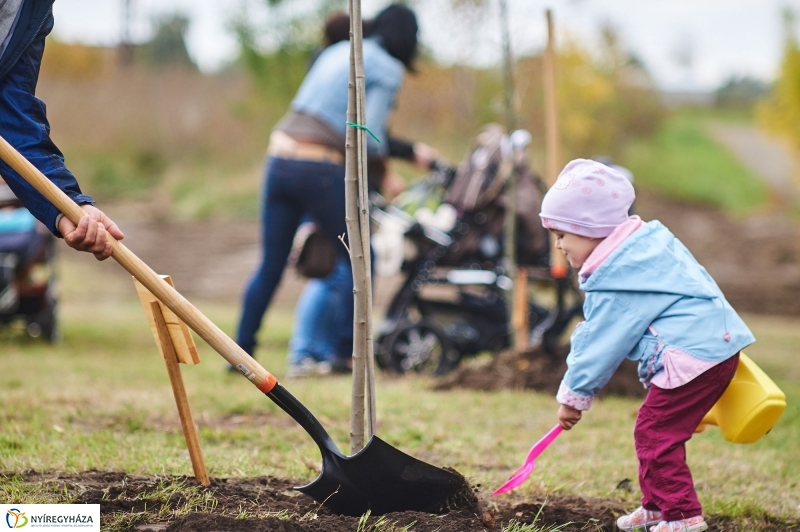 Faültetés az Újéletfa-ligetben 2017 - fotó Szarka Lajos