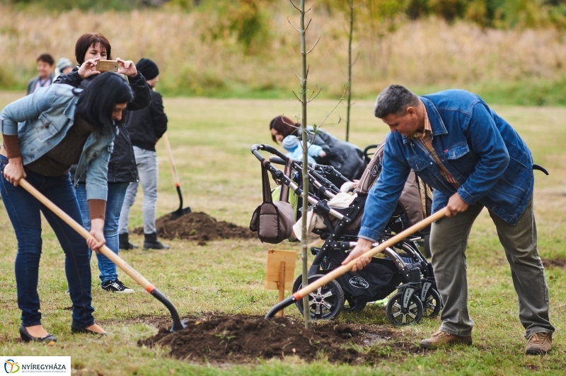 Faültetés az Újéletfa-ligetben 2017 - fotó Szarka Lajos