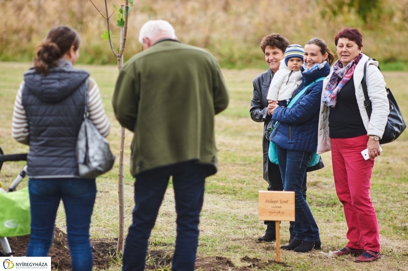 Faültetés az Újéletfa-ligetben 2017 - fotó Szarka Lajos