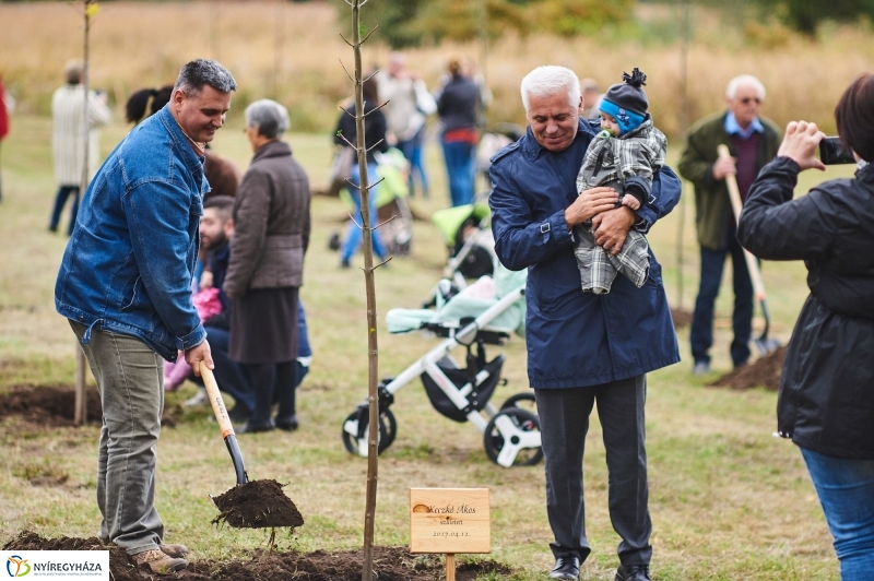 Faültetés az Újéletfa-ligetben 2017 - fotó Szarka Lajos