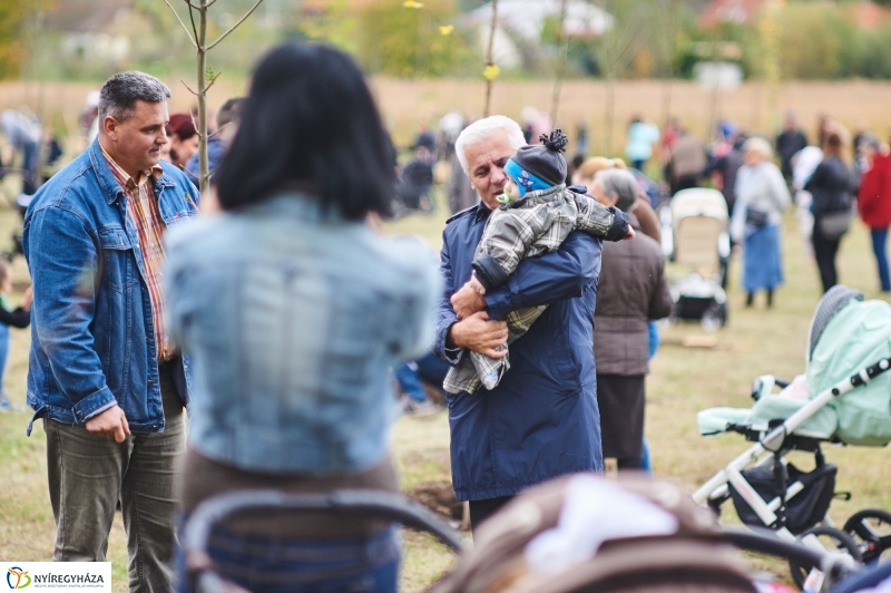 Faültetés az Újéletfa-ligetben 2017 - fotó Szarka Lajos