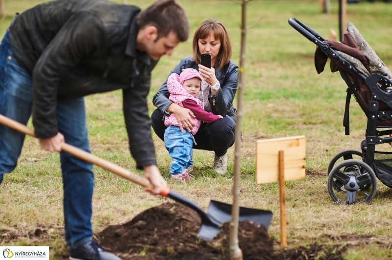 Faültetés az Újéletfa-ligetben 2017 - fotó Szarka Lajos