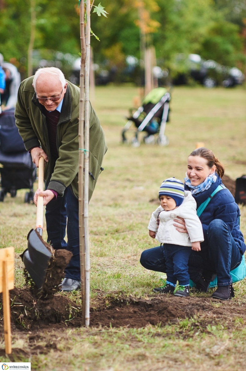 Faültetés az Újéletfa-ligetben 2017 - fotó Szarka Lajos