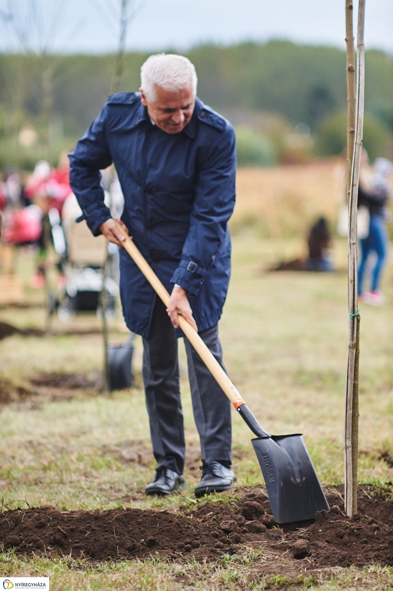 Faültetés az Újéletfa-ligetben 2017 - fotó Szarka Lajos