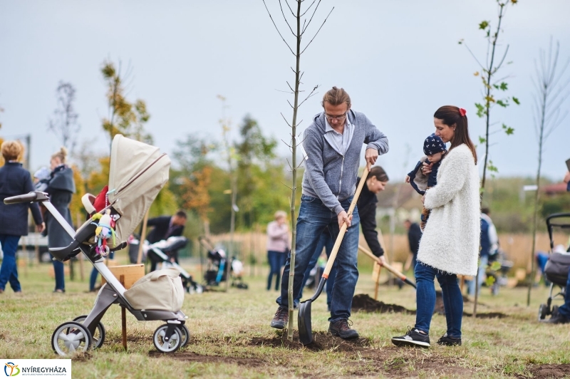 Faültetés az Újéletfa-ligetben 2017 - fotó Szarka Lajos