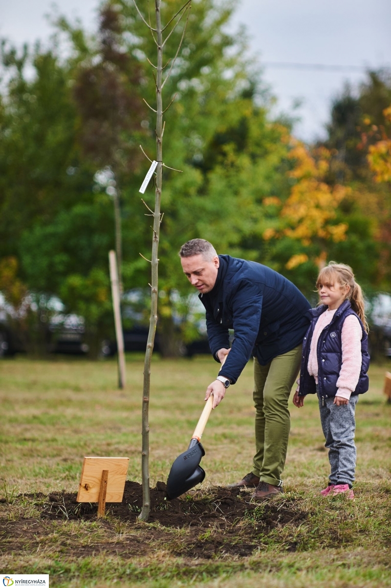 Faültetés az Újéletfa-ligetben 2017 - fotó Szarka Lajos