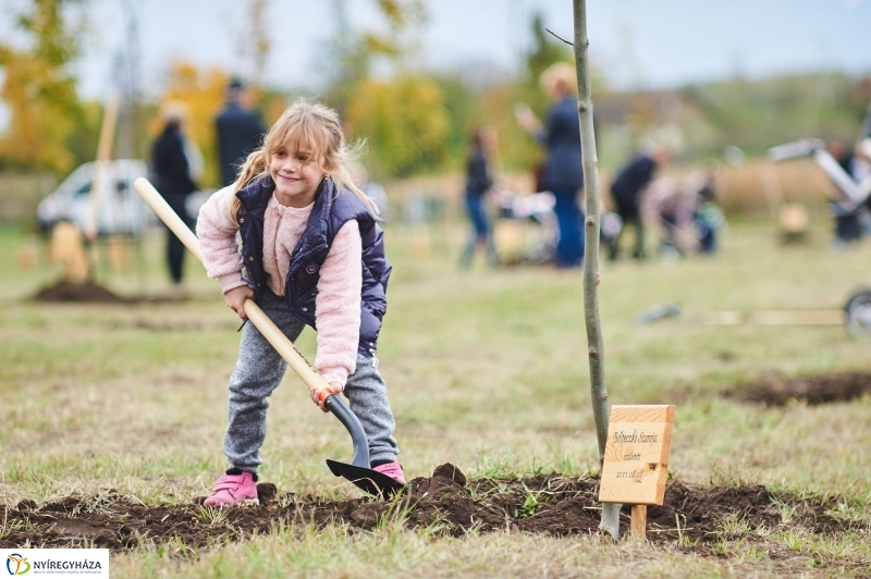 Faültetés az Újéletfa-ligetben 2017 - fotó Szarka Lajos