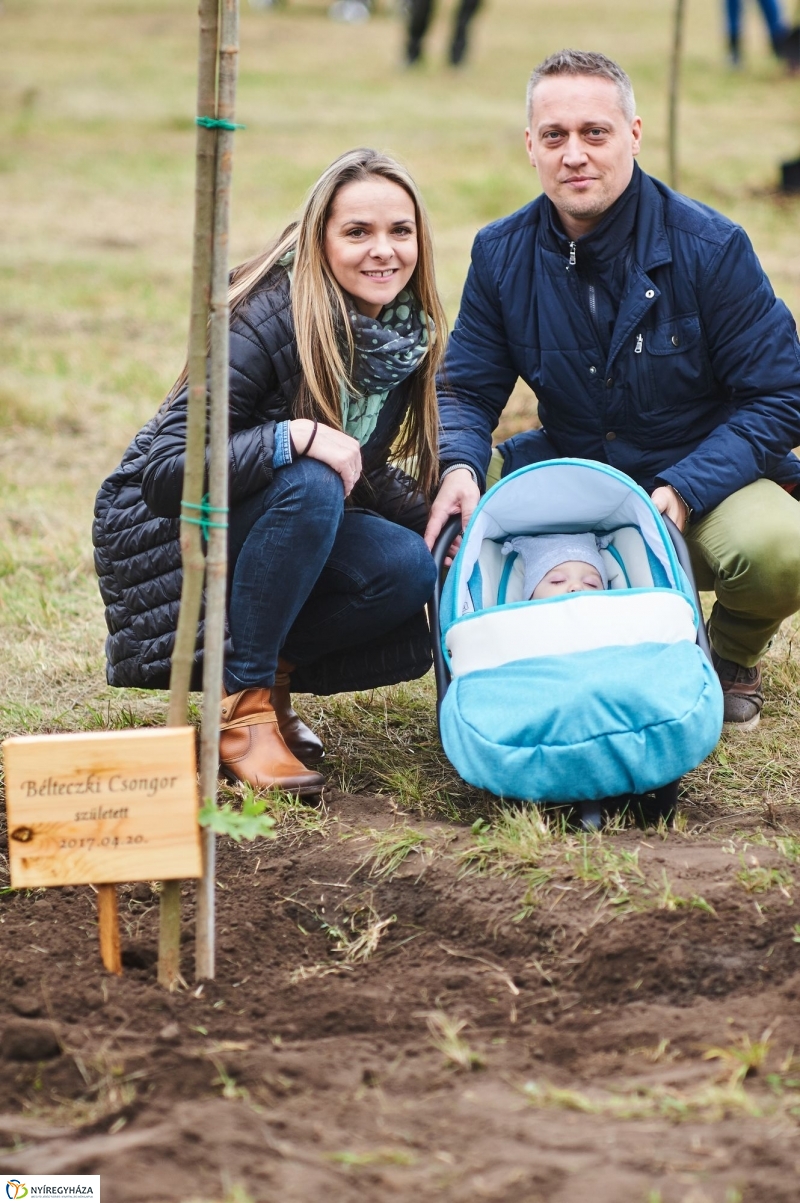 Faültetés az Újéletfa-ligetben 2017 - fotó Szarka Lajos
