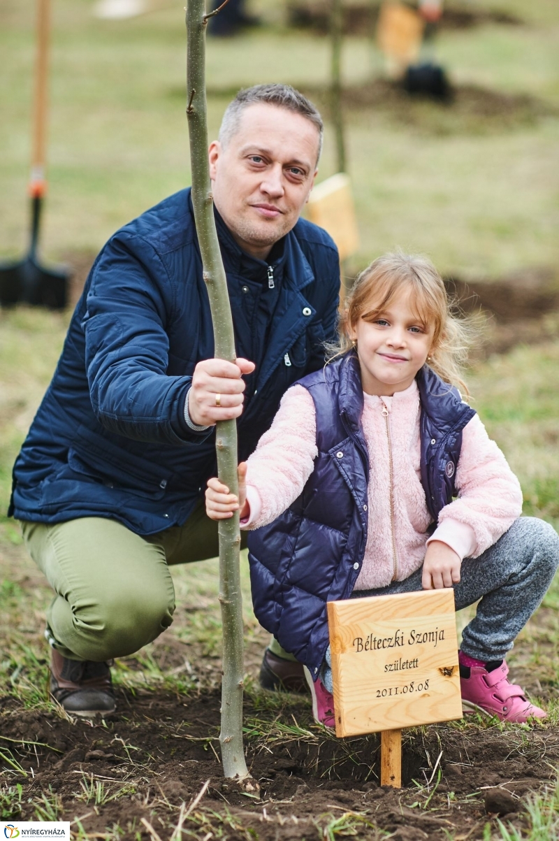 Faültetés az Újéletfa-ligetben 2017 - fotó Szarka Lajos