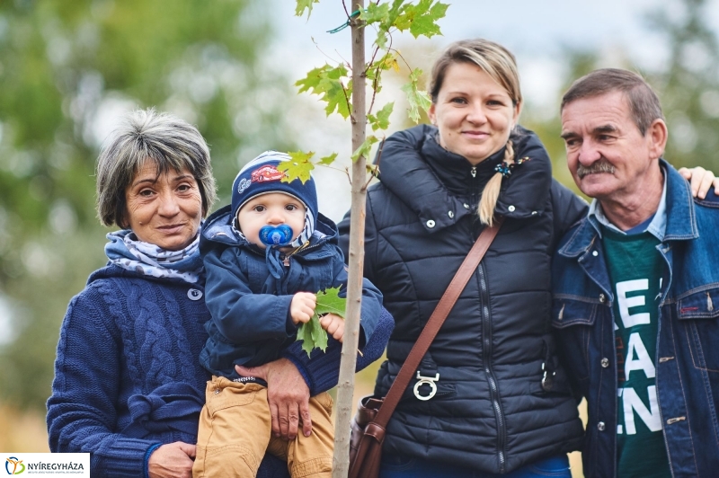 Faültetés az Újéletfa-ligetben 2017 - fotó Szarka Lajos