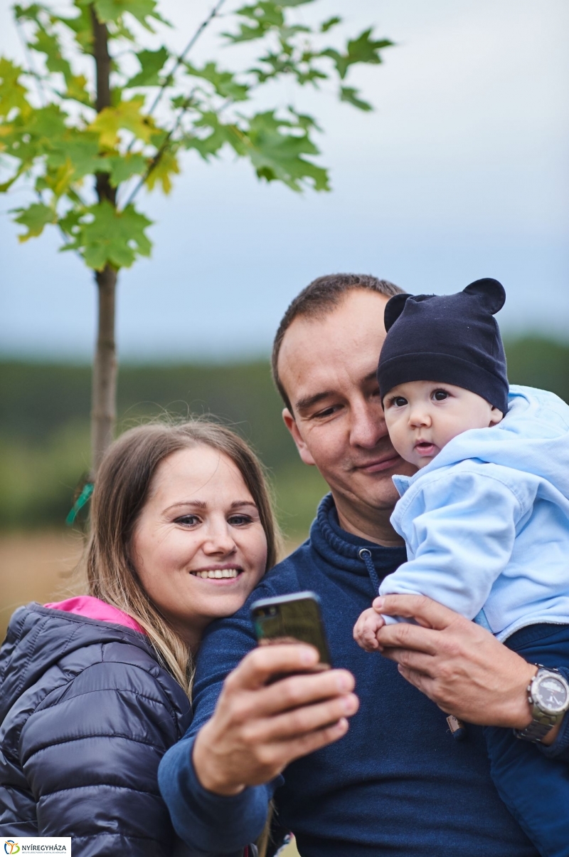 Faültetés az Újéletfa-ligetben 2017 - fotó Szarka Lajos