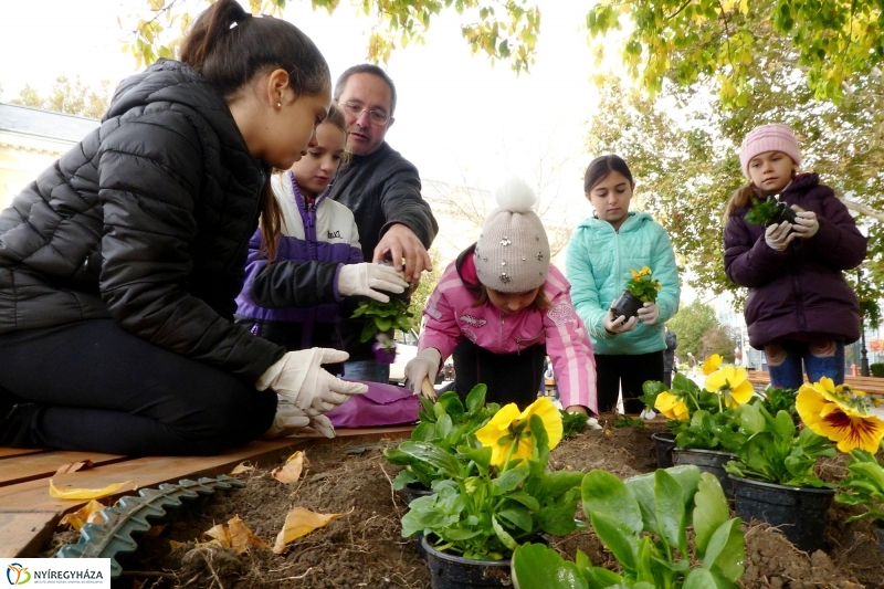 Virágültetés a belvárosban Petőfis diákokkal - fotó Szarka Lajos