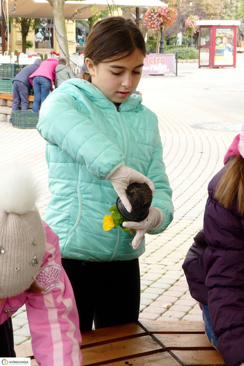 Virágültetés a belvárosban Petőfis diákokkal - fotó Szarka Lajos