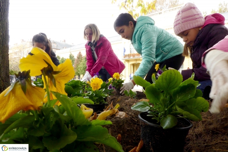 Virágültetés a belvárosban Petőfis diákokkal - fotó Szarka Lajos