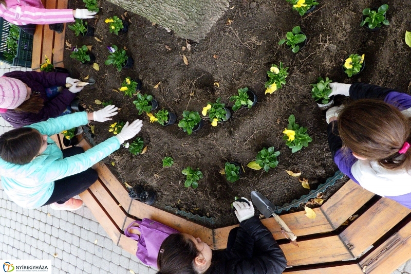 Virágültetés a belvárosban Petőfis diákokkal - fotó Szarka Lajos