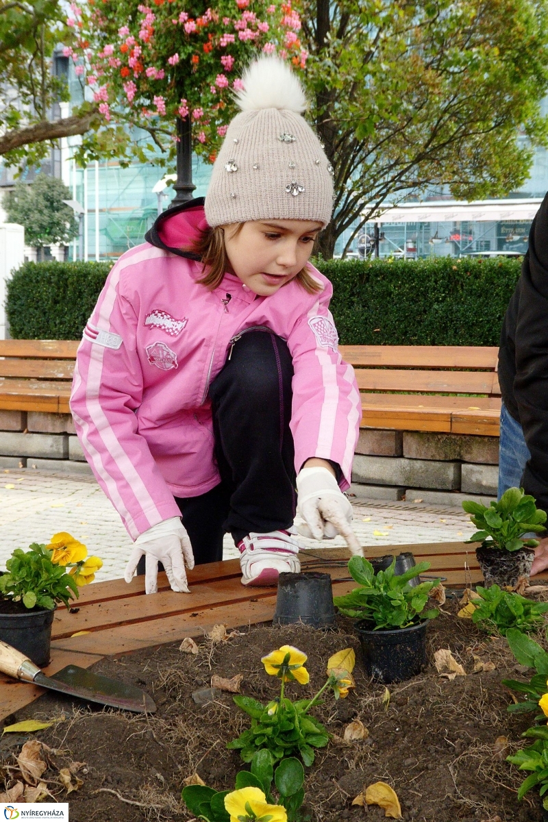 Virágültetés a belvárosban Petőfis diákokkal - fotó Szarka Lajos