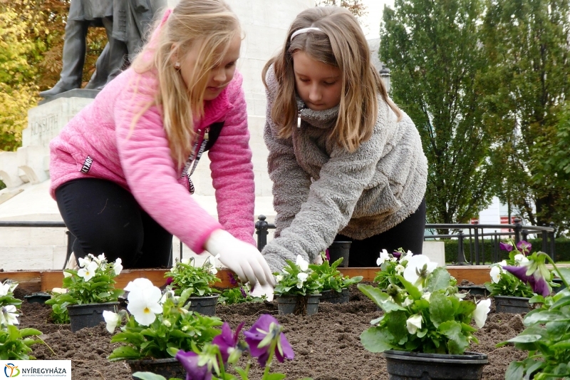Virágültetés a belvárosban Petőfis diákokkal - fotó Szarka Lajos