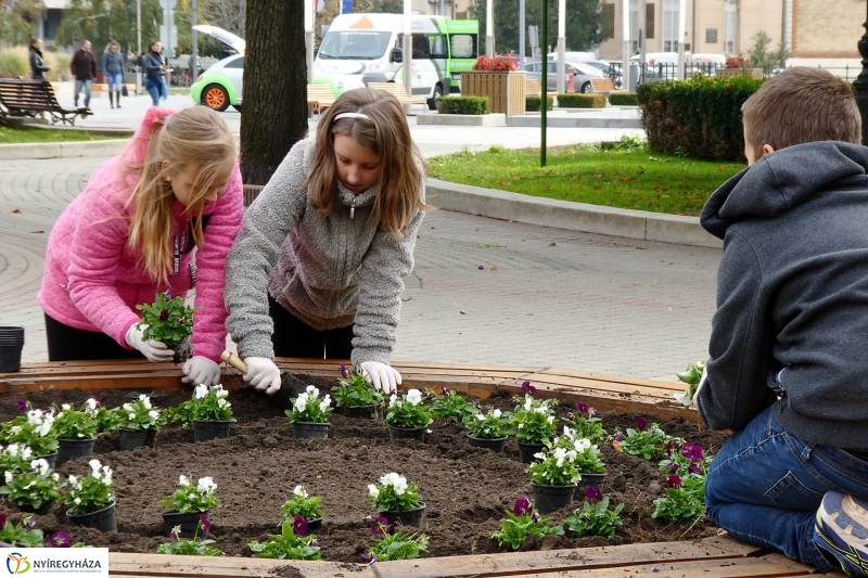 Virágültetés a belvárosban Petőfis diákokkal - fotó Szarka Lajos