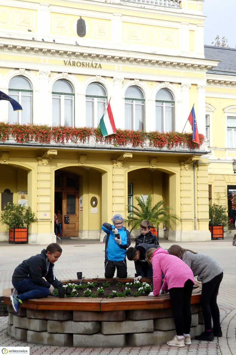 Virágültetés a belvárosban Petőfis diákokkal - fotó Szarka Lajos