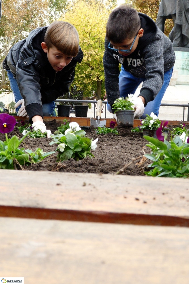 Virágültetés a belvárosban Petőfis diákokkal - fotó Szarka Lajos
