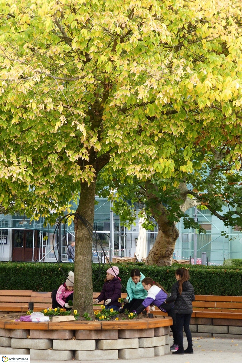 Virágültetés a belvárosban Petőfis diákokkal - fotó Szarka Lajos