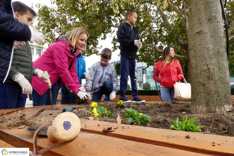 Virágültetés a belvárosban Petőfis diákokkal - fotó Szarka Lajos