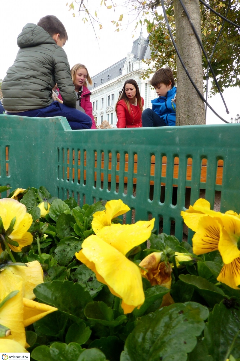 Virágültetés a belvárosban Petőfis diákokkal - fotó Szarka Lajos