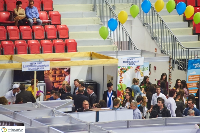 Dönts jól 2017 - fotó Szarka Lajos