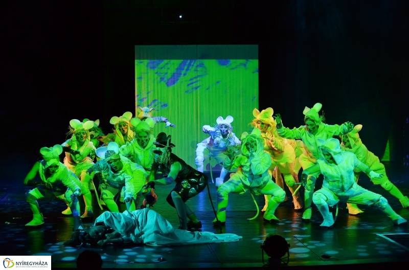 Diótörő herceg a Móricz Zsigmond Színházban