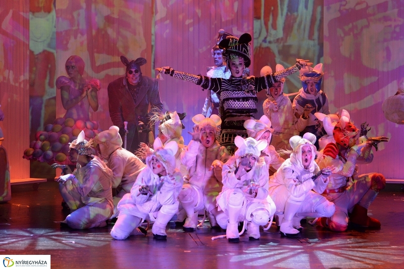 Diótörő herceg a Móricz Zsigmond Színházban