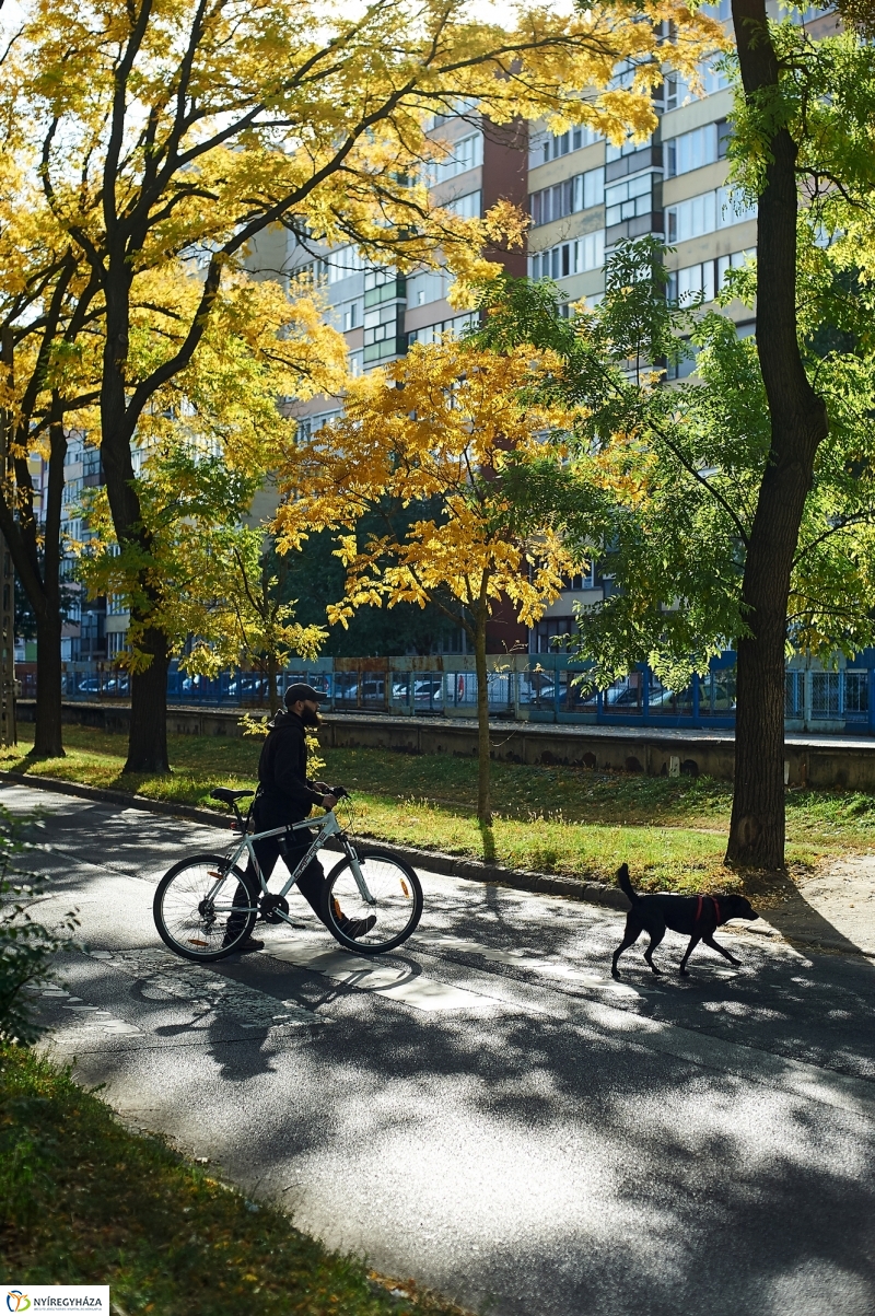 Csodás Ősz - fotó Szarka Lajos