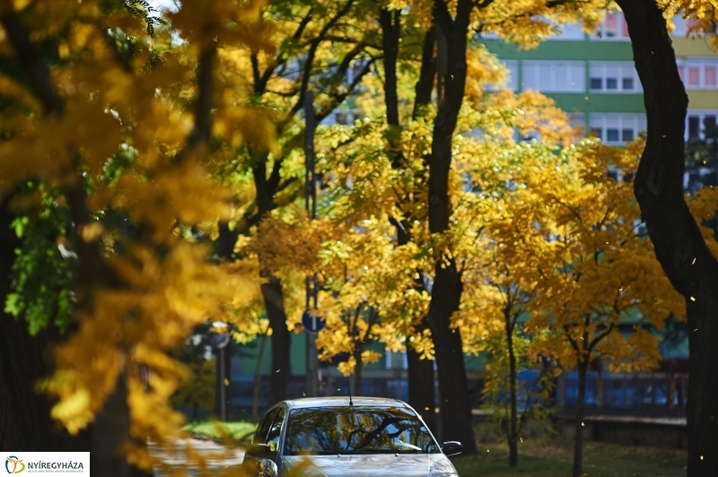 Csodás Ősz - fotó Szarka Lajos