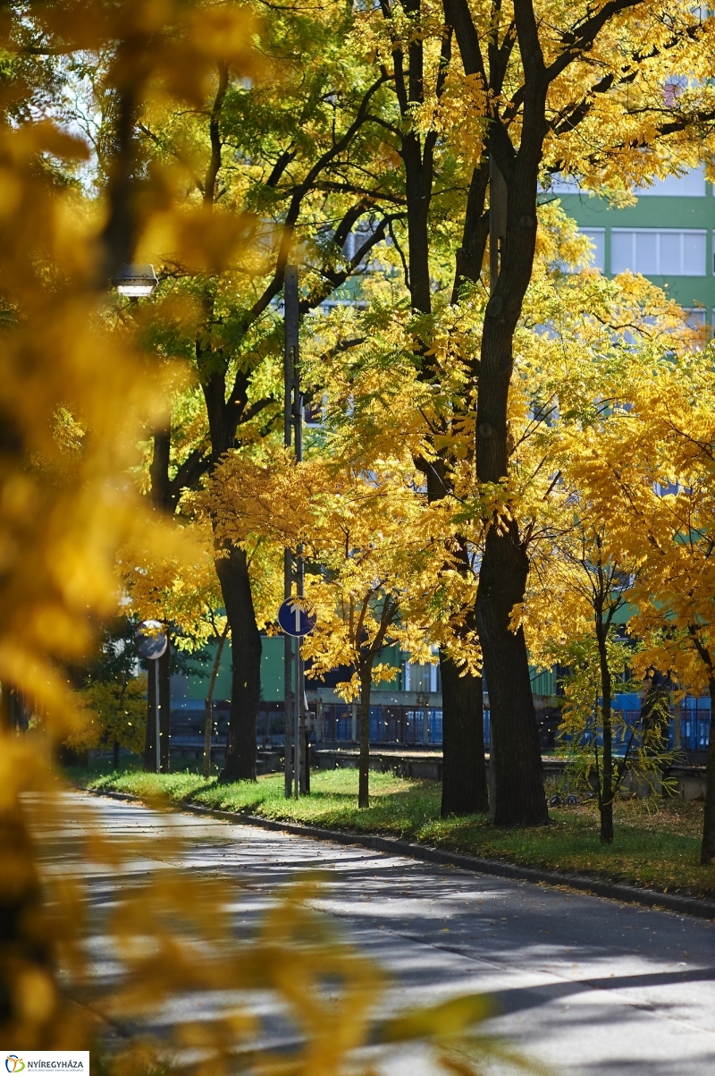 Csodás Ősz - fotó Szarka Lajos