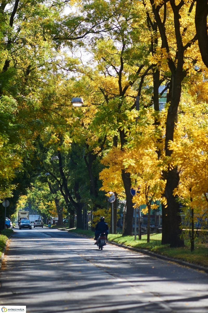 Csodás Ősz - fotó Szarka Lajos