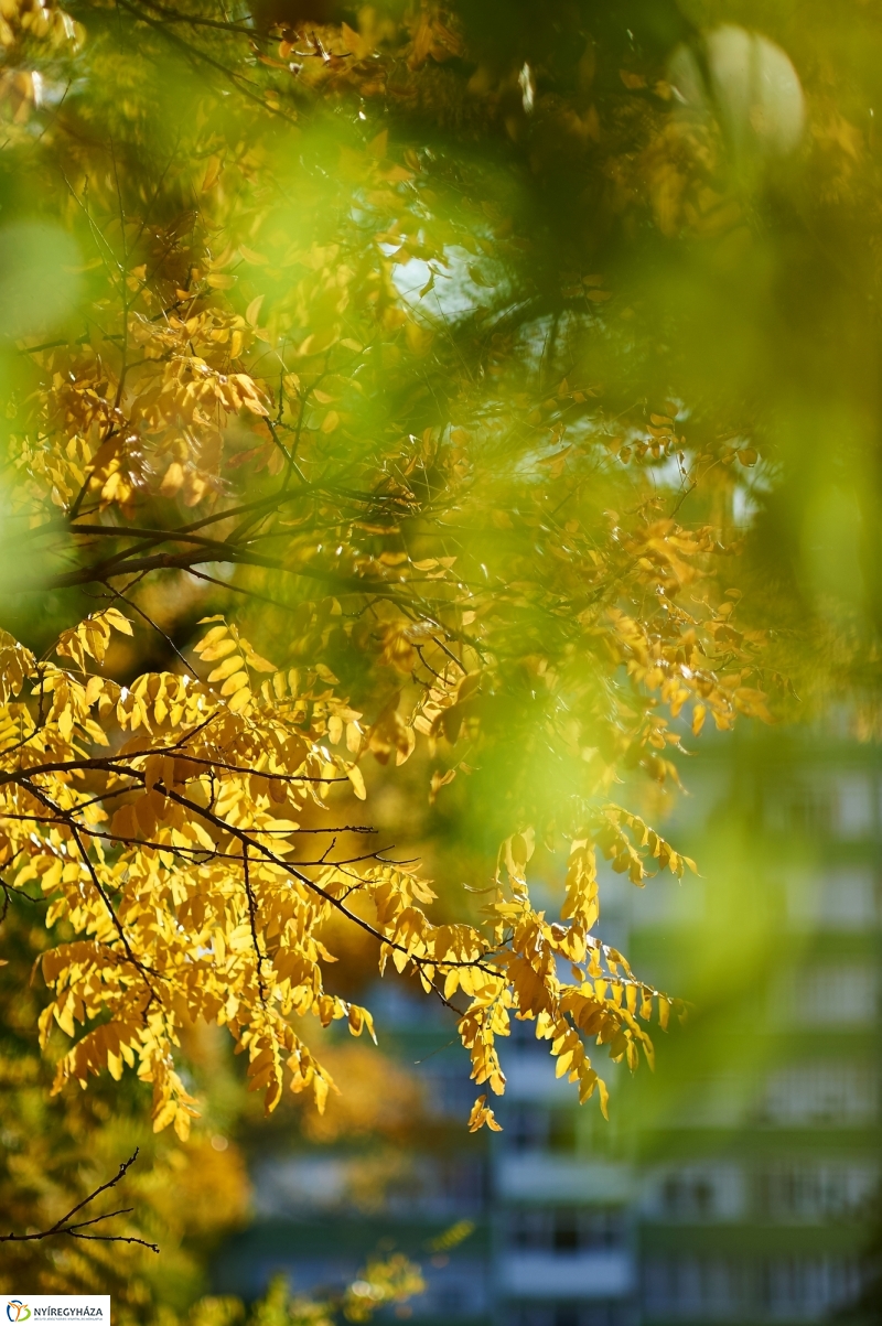 Csodás Ősz - fotó Szarka Lajos