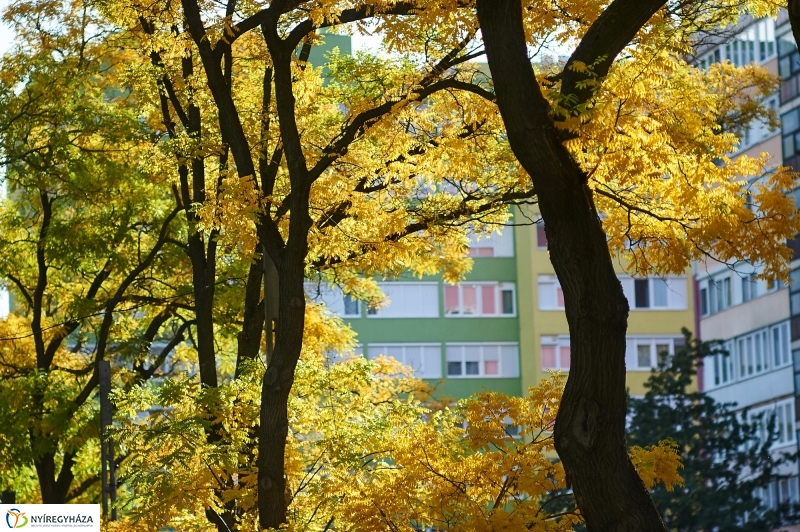 Csodás Ősz - fotó Szarka Lajos