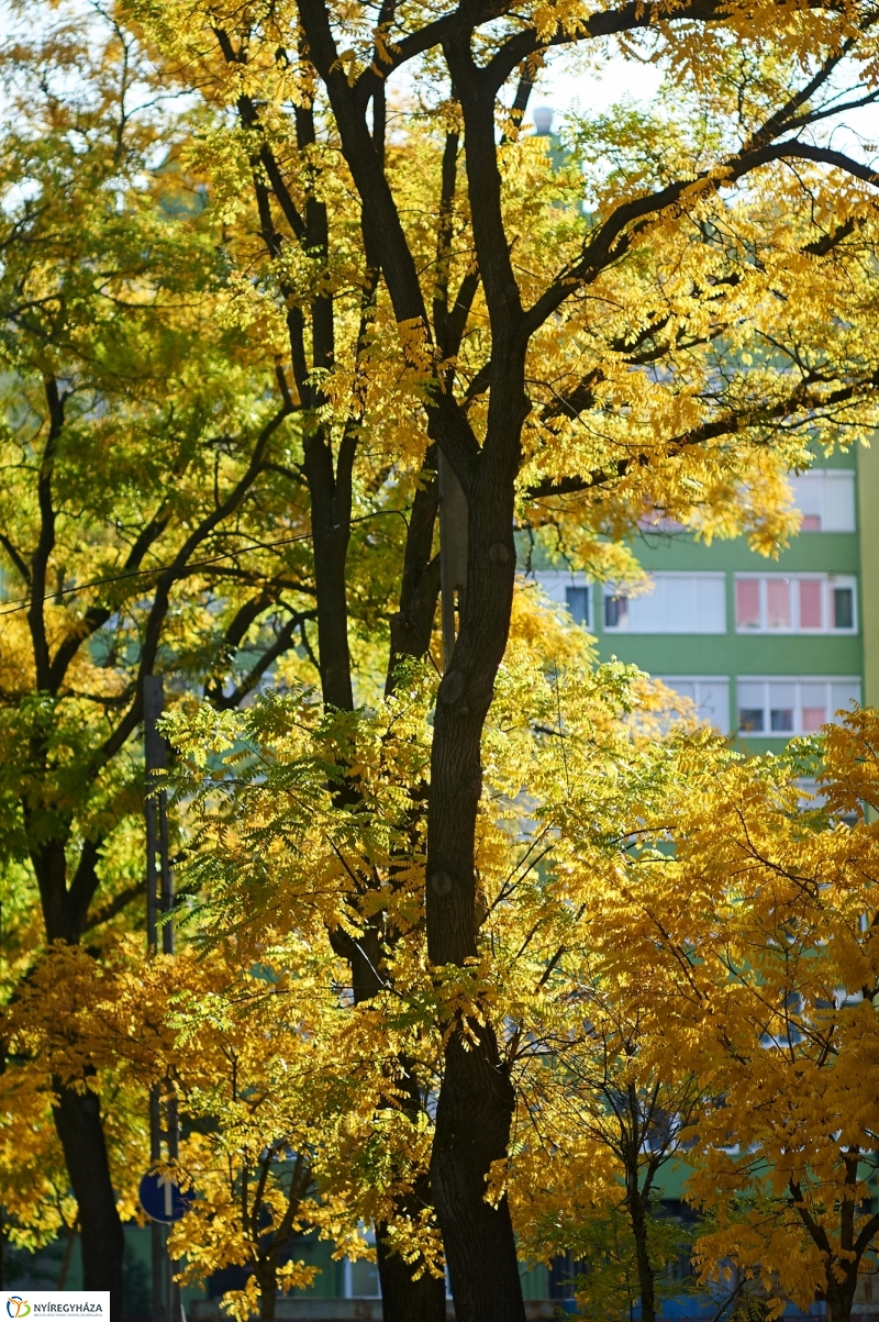 Csodás Ősz - fotó Szarka Lajos